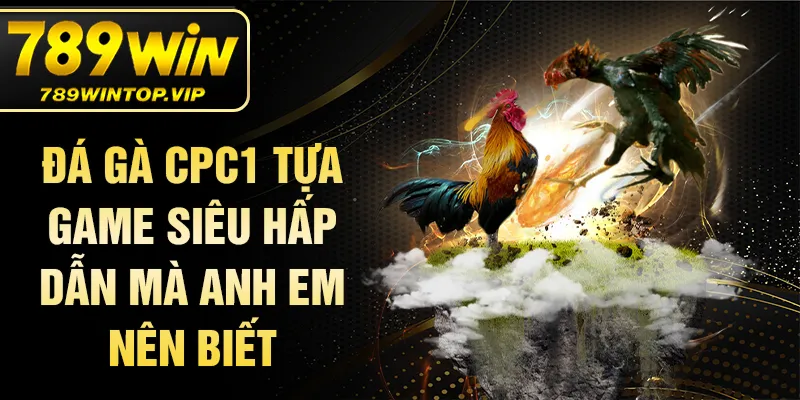 Đá gà cpc1 tựa game siêu hấp dẫn mà anh em nên biết