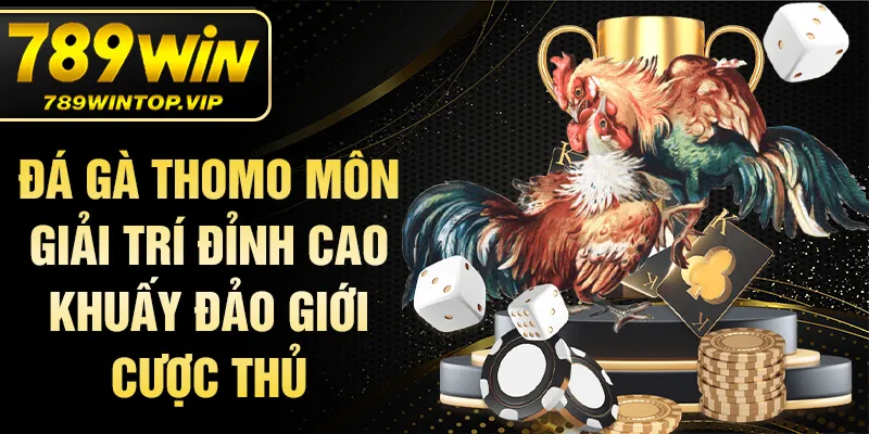 Đá gà thomo môn giải trí đỉnh cao khuấy đảo giới cược thủ