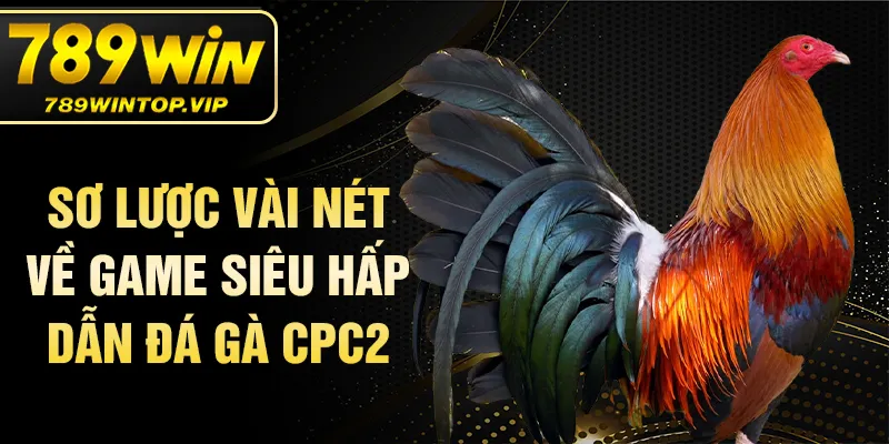 Sơ lược vài nét về game siêu hấp dẫn đá gà CPC2