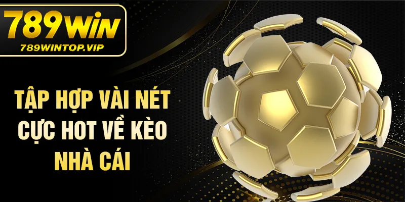 Tập hợp vài nét cực hot về kèo nhà cái