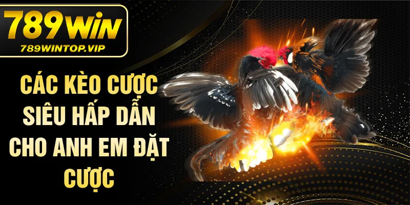 Các kèo cược siêu hấp dẫn cho anh em đặt cược