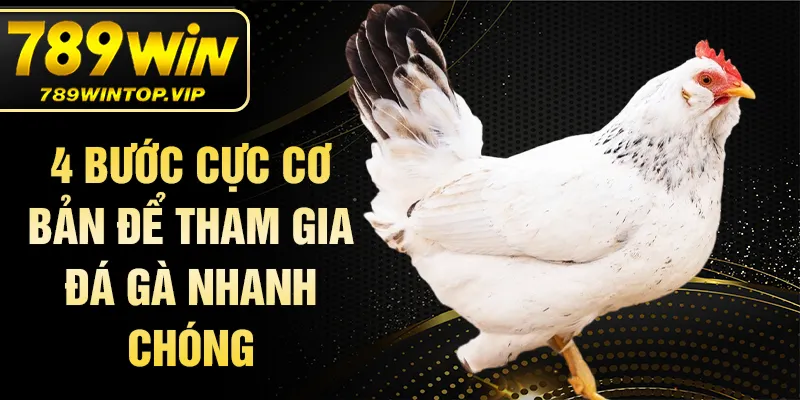 4 bước cực cơ bản để tham gia đá gà nhanh chóng