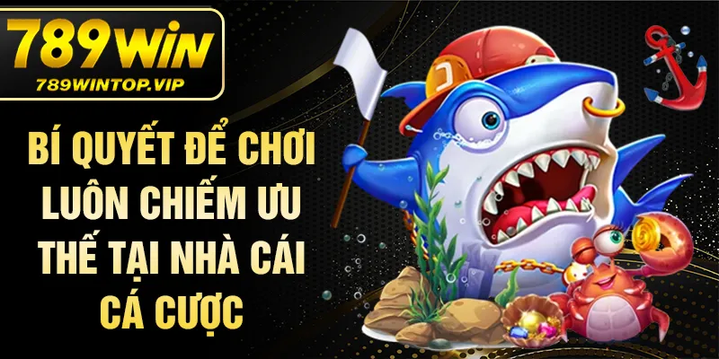 Bí quyết để chơi luôn chiếm ưu thế tại nhà cái cá cược
