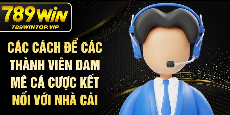 Các cách để các thành viên đam mê cá cược kết nối với nhà cái