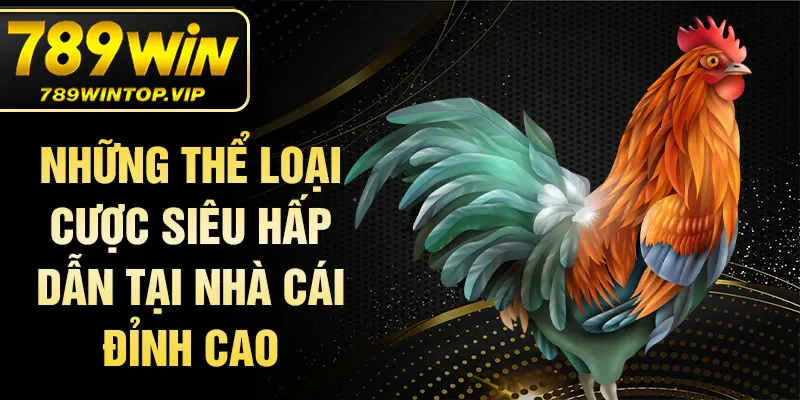 Những thể loại cược siêu hấp dẫn tại nhà cái đỉnh cao