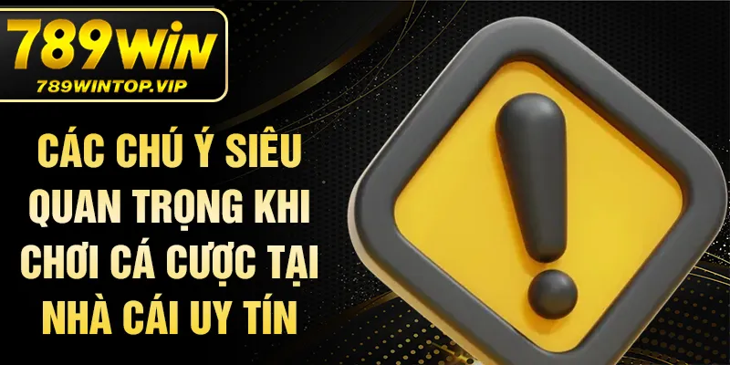 Các chú ý siêu quan trọng khi chơi cá cược tại nhà cái uy tín