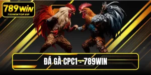 Đá Gà Cpc1 789WIN
