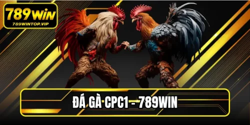 Đá Gà Cpc1 789WIN