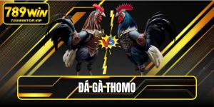 Đá Gà Thomo