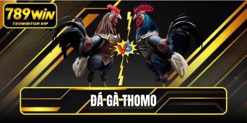 Đá Gà Thomo